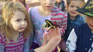 Setting the butterfly free